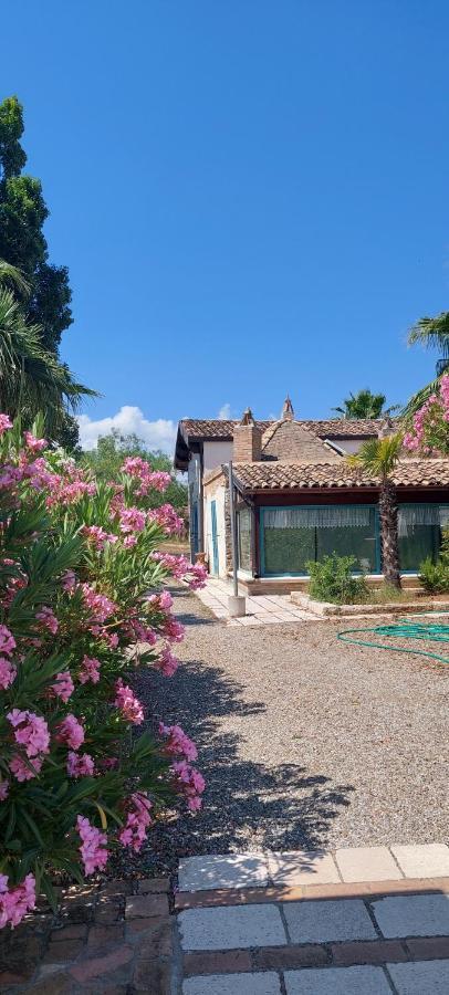 Agriturismo Terranova Пистиччи Экстерьер фото
